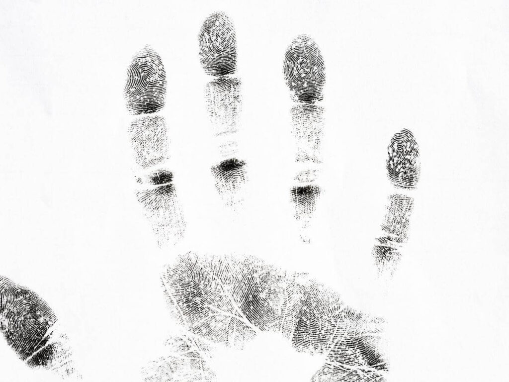 Biometría e historia