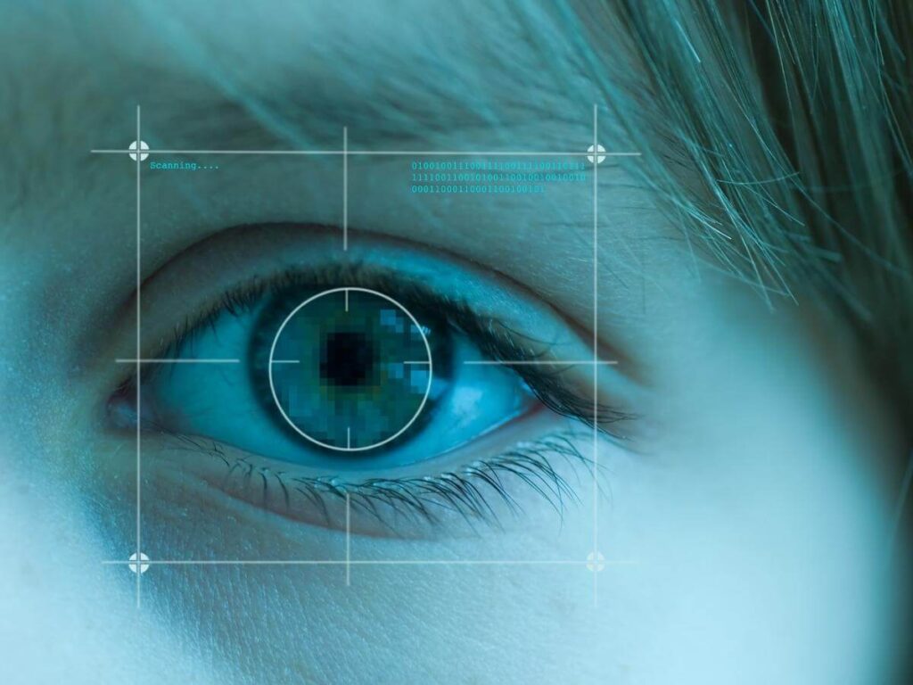 Biometría y reconocimiento de iris